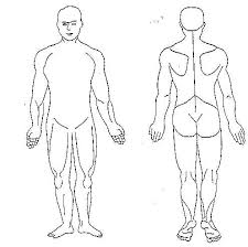 Human Body Diagram Blank Human Body Diagram Body Diagram