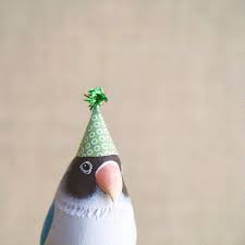 The Weekend Is An Excuse To Wear A Party Hat Right Here Is Dango The Lovebird He Is One Half Of A Very Fun Recent Custom Order Ch Party Hats Pet