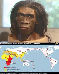 Leon Dash A molar in Laos, a jawbone