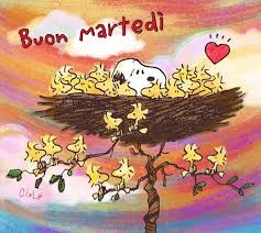 Buon Martedi Martedi Buongiorno Buona Giornata