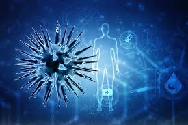 Cómo funciona el sistema inmune del cuerpo humano? | CinfaSalud