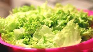 Noi ne mangiamo parecchia, piace molto anche a carlotta, che la mangia volentieri in tutte le stagioni. Come Conservare A Lungo L Insalata Nel Frigo 3 Passaggi Fondamentali