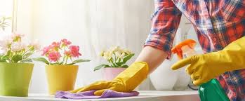 Ces services sont en principe rendus au domicile du particulier ; Contrat De Travail Pour Une Femme De Menage Cesu Guide