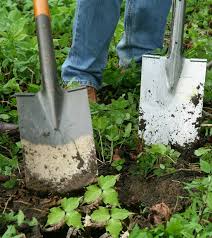 I get pi every time i go to my garden. Poison Ivy Prevention Natural Ways To Treat This Invasive Weed