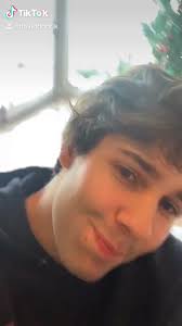 @DavidDobrik's video Tweet