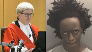 Heir to pie company fortune given life sentence for murdering childhood  friend