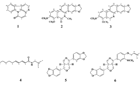 Image result for Zanthoxylum usambarense