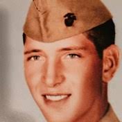 Loy Family Obituaries