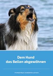 Viele hunde bellen ständig und bringen ihre besitzer damit oftmals in unangenehme situationen. Dem Hund Das Bellen Abgewohnen