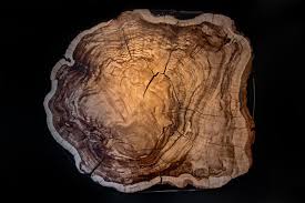 Today we are here with an animated video explaining why radiometric dating is not reliable. Carbon Dating The Archaeological Workhorse Is Getting A Major Reboot