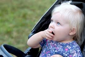 Cordova Country Fair packed