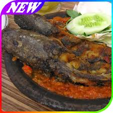 Kumpulan aneka resep masakan ayam ada disini & cara membuat / memasak. Aneka Resep Masakan Ikan Lele 1 0 Apk Download Android Books Reference Apps