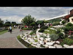 39,950 likes · 1,051 talking about this · 40,649 were here. Ogrody Do Zwiedzania Kapias Goczalkowice Zdroj 15 Sierpien 2014 R Youtube