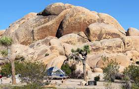 Maybe you would like to learn more about one of these? 9 Best Campgrounds In Joshua Tree National Park Camping Details Planetware