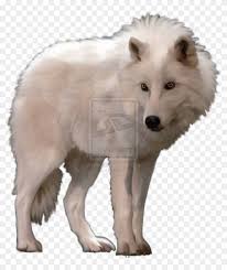 The arctic is always cool! Polar Fox Clipart Arctic Wolf Pencil And In Color Polar White Wolf Transparent Background Free Transparent Png Clipart Images Download