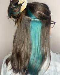 Skunk hair is trending on tiktok. Skunk Stripe On The World S Acorn Artistry Beauty Studio Facebook