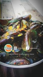 Lumuri kerang dengan air jeruk nipis dan garam. Kerang Hijau Di Panen Dari Laut Karangantu Yang Bebas Logam Dimasak Spesial Bumbu Kerang Juraga Bild Von Kerang Juragan Cilegon Tripadvisor