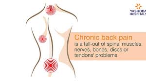 The bones of the back, together, make up the vertebral column. Causes Chronic Back Pain Back Pain Specialist In Hyderabad