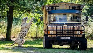 Choose from a list of over 50 top attractions and shows, including your choice of san diego zoo or san diego zoo safari park, san diego speed boat adventures, go car tours, jet ski rentals, snorkeling, kayaking bike rentals, and more. Serengeti Park Neu Mit Raubtier Safari Raubtierfutterung Hautnah