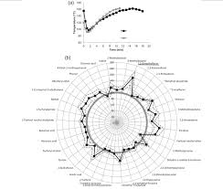 Funny roast lines funny roasts funny insults and comebacks sarcastic quotes funny. Underdevelopment Roast Defect Compared With Standard Roast A Bean Download Scientific Diagram