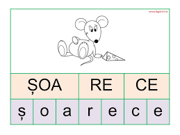Regulile despărţirii cuvintelor în silabe 1. Cuvinte Silabe Litere Logorici