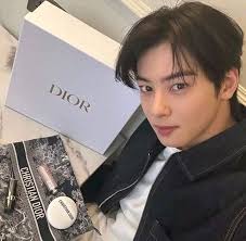 Admiration for Cha Eun-woo's work and performances