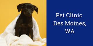 Hours may change under current circumstances Pet Clinic Des Moines Wa Blog