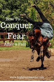 Six Steps To Regain Your Confidence And Conquer Fear After A Horseback Riding Fall Horsebackriding Horses Horseback Riding Equestrian Horse Training