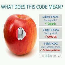 Pin On Food
