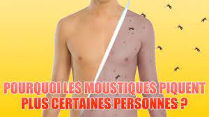 Pourquoi vous piquent ils et pas les autres. Pourquoi Les Moustiques Piquent Plus Certaines Personnes Que D Autres Youtube