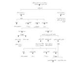 Image result for ‫دانلود کتاب بارداری و زایمان ویلیامز‬‎