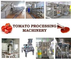 Tomato Processing Plant Sauce Ketchup Paste Tomato