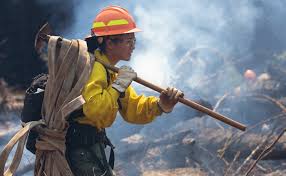 Click here for public fire restrictions Oregon Department Of Forestry Sweet Home