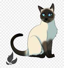Draw different kinds of cats. 28 Collection Of Siamese Cat Drawing Cat Free Transparent Png Clipart Images Download
