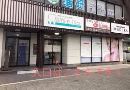 White Tree 水戸店