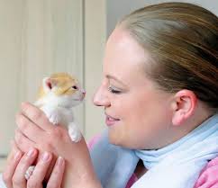 DER BESTE JOB der Welt