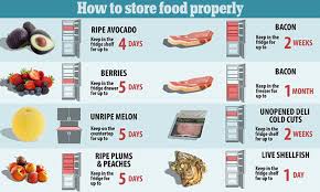 How To Store Food Properly So It Doesnt Go Off Daily Mail