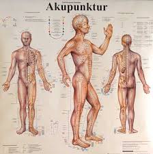 Maybe you would like to learn more about one of these? Akupunktur Tcm Chinesische Medizin Hno Praxis Munchen Lehel