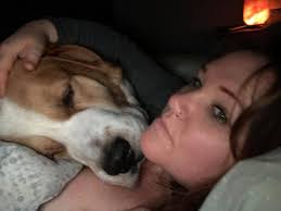 Do weighted blankets compare to dog snuggles?