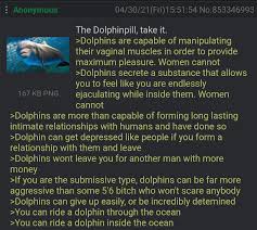 Dolphin moment : rgreentext