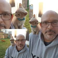 He arrived in a carrier, tiny and curious, with your daughter's voice  echoing behind him: “Take good care of him, okay?” You promised you would —  even if you weren't totally sure