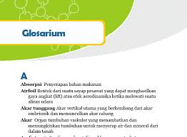 Agar pesawat terbang dapat terangkat ke atas maka kecepatan aliran udara di atas sayap harus lebih besar daripada kecepatan aliran udara di bawah sayap. Https Mtsn2jember Sch Id Perpus Kelas8ipasmt2 Pdf