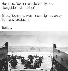Reverse D Day R Memes Know Your Meme