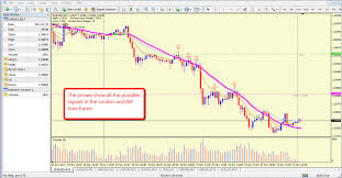 free forex system forex trading system review best forex