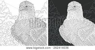 There is a reason why the coloring pages can bring a tremendous amount of benefits and advantages in colorful ways in your children's life, here's how you'll find about. Eagle Coloring Page Vector Photo Free Trial Bigstock