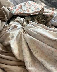 Lindsey Haskell (@lindseyslead) • Instagram photos and videos