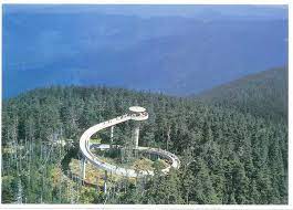 Check spelling or type a new query. Clingmans Dome Observation Tower See 7 States