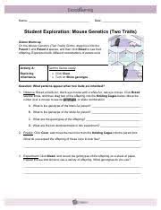 Cell division is the process by which biological cells multiply. Student Exploration Human Karyotyping Human Karyotyping Nico Pdf Name Nicole Rodriguez Date Eds Atlas Of Human Chromosome Heteromorphisms Foodbloggermania It