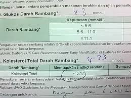 Ujian Kecergasan Jasmani Kebangsaan Ajumohit