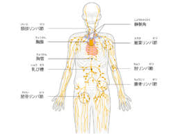 アニメ ラブ アニメの男の子 かわいい アニメのかわいいカップル 赤毛 マンガ 愛してるのおしゃれイメージ画像 プリンセス 赤毛. ä¸­æž¢ç¥žçµŒåŽŸç™ºæ‚ªæ€§ãƒªãƒ³ãƒ'è…« åŽŸç™ºæ€§è„³ãƒªãƒ³ãƒ'è…« åŸºç¤ŽçŸ¥è­˜ ç—‡çŠ¶ åŽŸå›  æ²»ç™‚ãªã© Medley ãƒ¡ãƒ‰ãƒ¬ãƒ¼